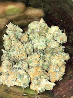 User uploaded image of MediHaze