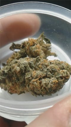 User uploaded image of MediHaze