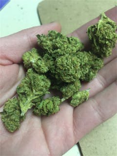 User uploaded image of Medusa