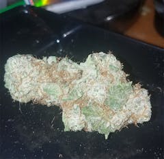 User uploaded image of Medusa