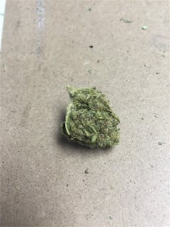 User uploaded image of Medusa