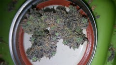 User uploaded image of Mega Jackpot