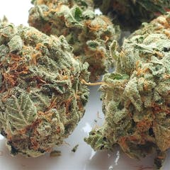 User uploaded image of Megalodon