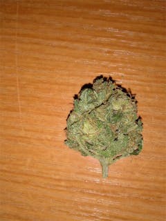 User uploaded image of Melon Gum