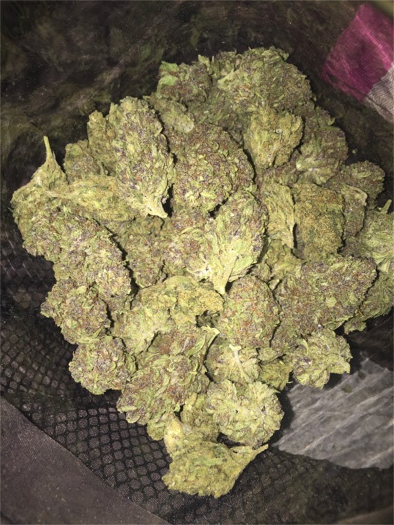 Photos of Melon Gum Weed Strain Buds Leafly