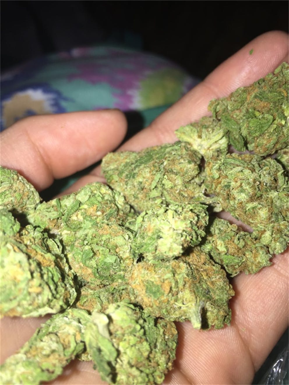 Photos of Melon Gum Weed Strain Buds Leafly