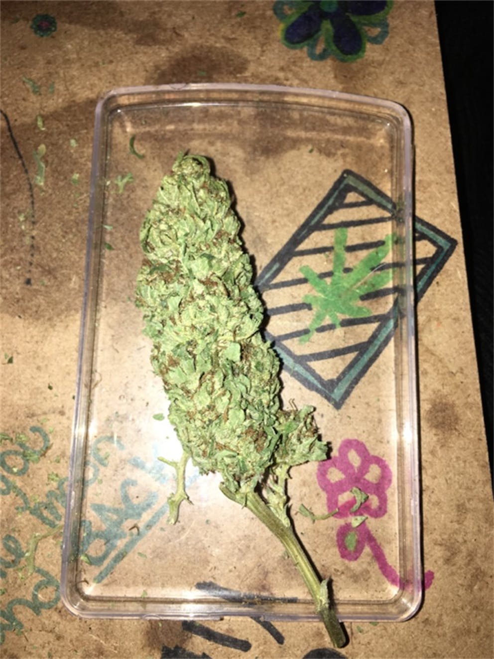 Photos of Melon Gum Weed Strain Buds Leafly