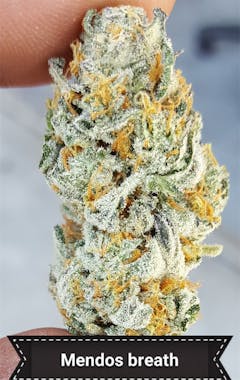 User uploaded image of Mendo Breath