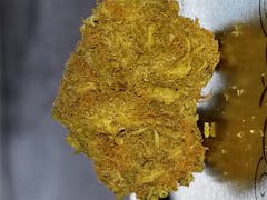 User uploaded image of Mendocino Madness