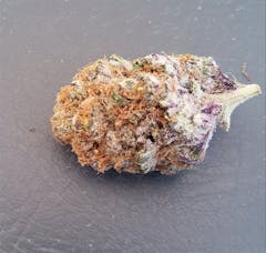 User uploaded image of Mendocino Purps