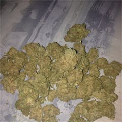 User uploaded image of Mendocino Purps