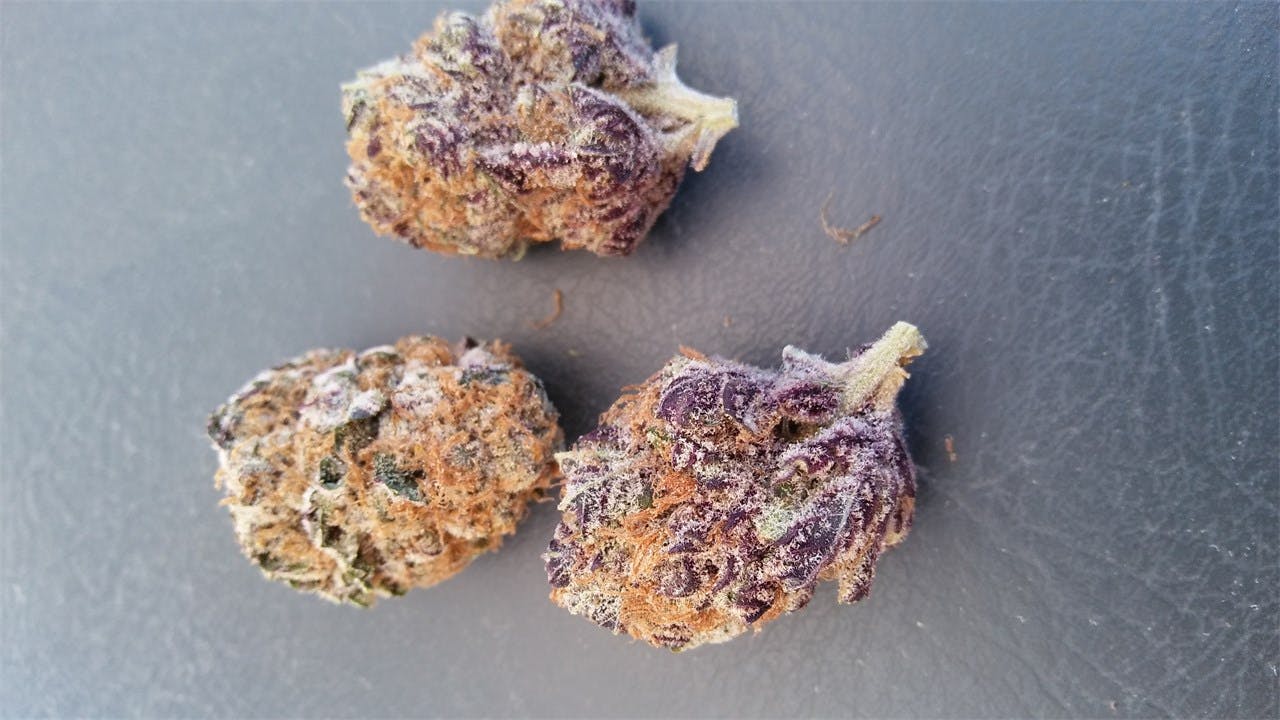 Mendocino Purps aka Mendo Purps, Purple Mendocino Weed Strain