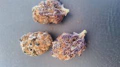 User uploaded image of Mendocino Purps