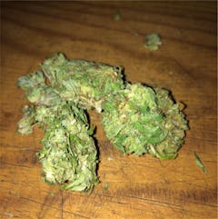 User uploaded image of Mexican Sativa