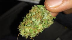 User uploaded image of Mexican