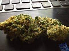 User uploaded image of Michael Phelps OG