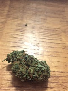 User uploaded image of Michael Phelps OG
