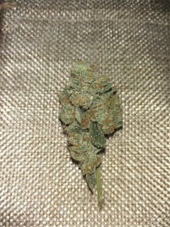 User uploaded image of Mickey Kush