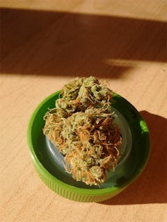 User uploaded image of Mickey Kush
