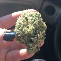 User uploaded image of Middlefork