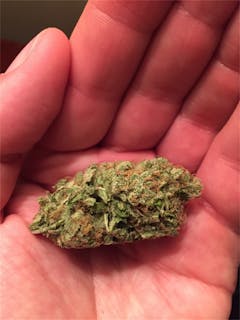 User uploaded image of Middlefork