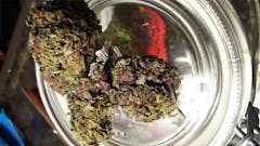 User uploaded image of Midnight