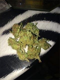 User uploaded image of Midnight