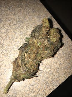 User uploaded image of Midnight