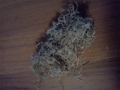 User uploaded image of Millennium