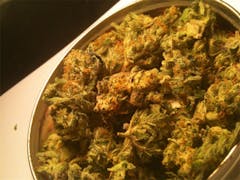 User uploaded image of Millennium