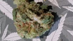 User uploaded image of Mint Chocolate Chip