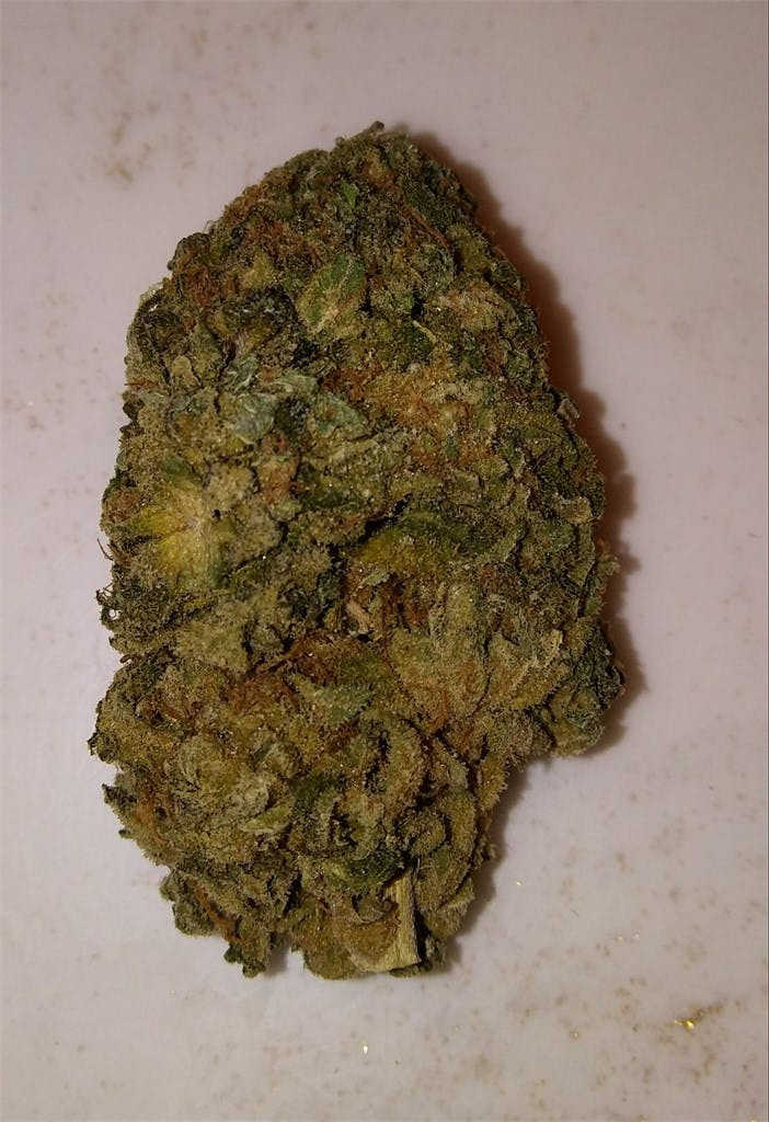 Mint Chocolate Chip Weed Strain Information Leafly