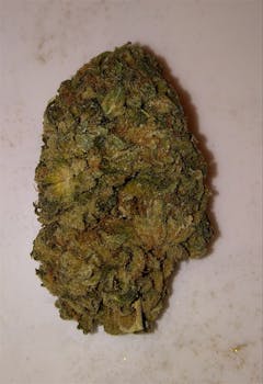 User uploaded image of Mint Chocolate Chip