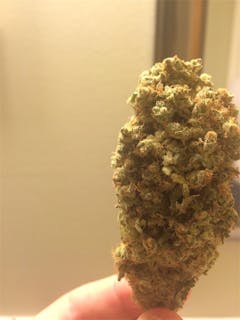 User uploaded image of Misty Kush