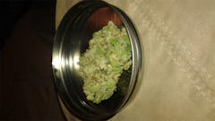 User uploaded image of Misty Kush