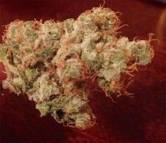 User uploaded image of Misty Kush