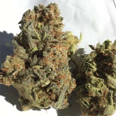 User uploaded image of MK Ultra