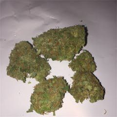 User uploaded image of MK Ultra