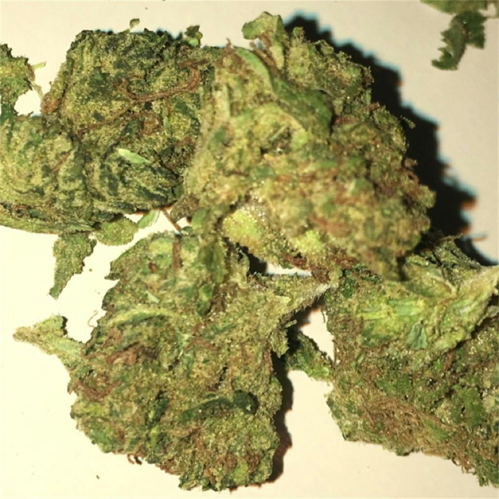 User uploaded image of MK Ultra