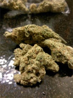 User uploaded image of Mob Boss