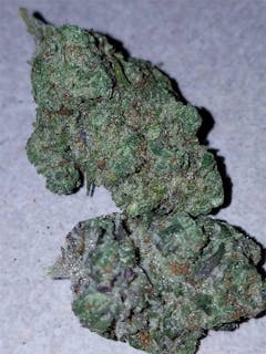 User uploaded image of Mob Boss