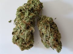 User uploaded image of Mob Boss