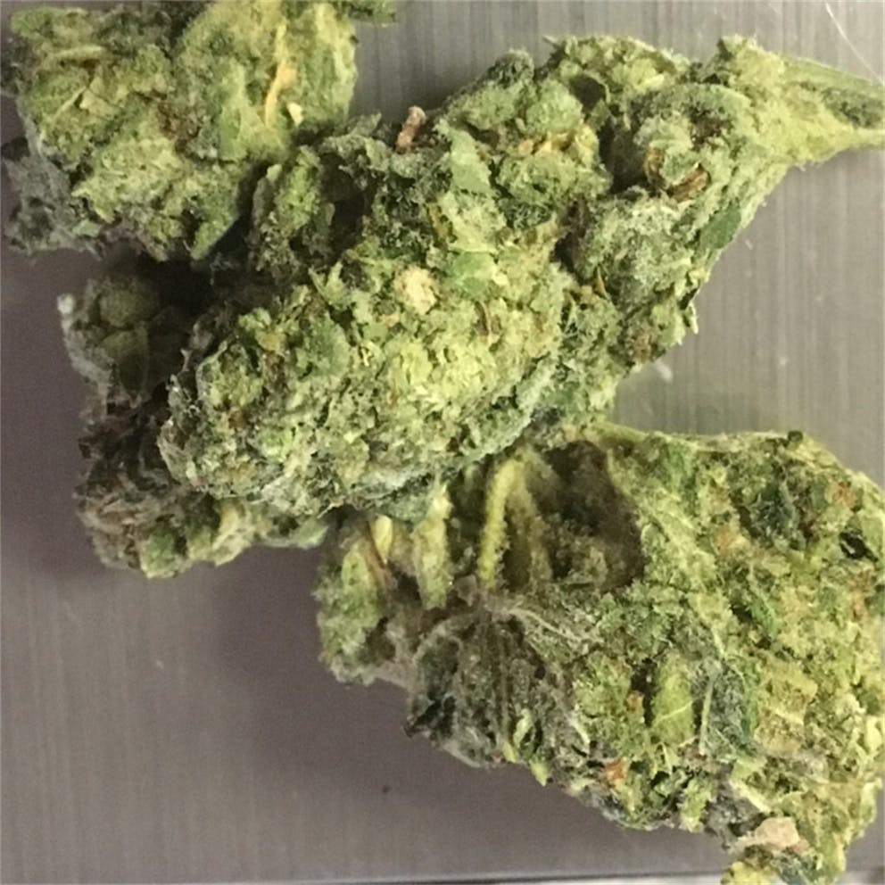 Photos of Mob Boss Weed Strain Buds Leafly