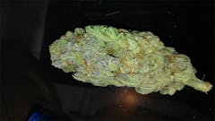 User uploaded image of Mob Boss