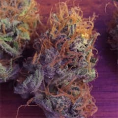 User uploaded image of Money Maker