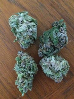 User uploaded image of Monkey Paw