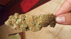 User uploaded image of Monkey Paw