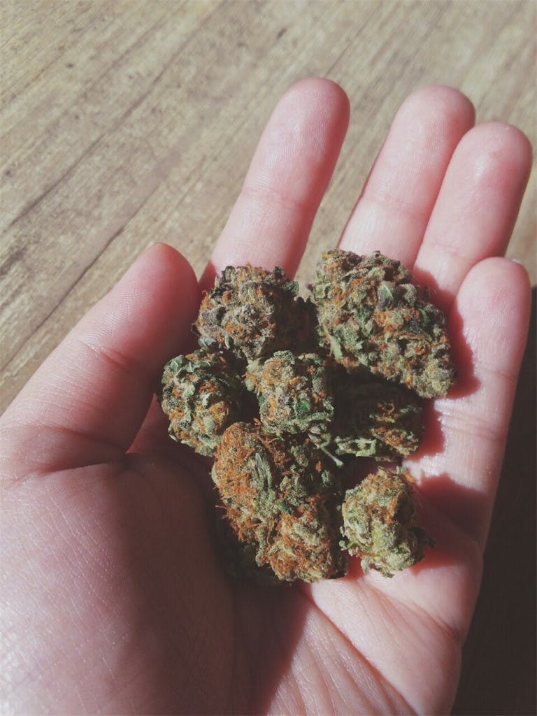 Photos of Monster Cookies Weed Strain Buds Leafly