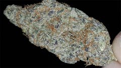 User uploaded image of Monster OG