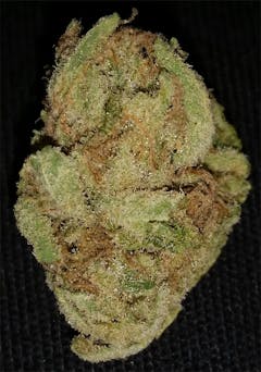 User uploaded image of Silvertip